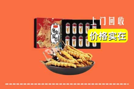 杭州市富阳回收冬虫夏草